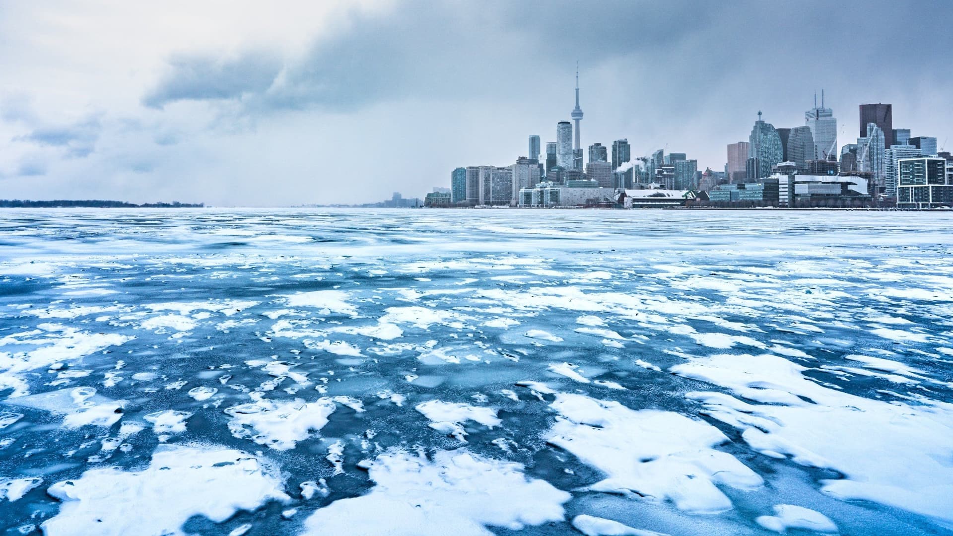 The Toronto skyline and the CN Tower from across the lake